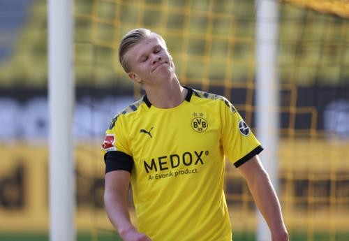 我将努力在 我将努力在